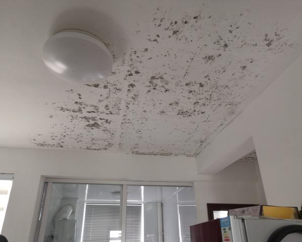 深化黨建推動引領，提升租戶居住幸福指數(shù)