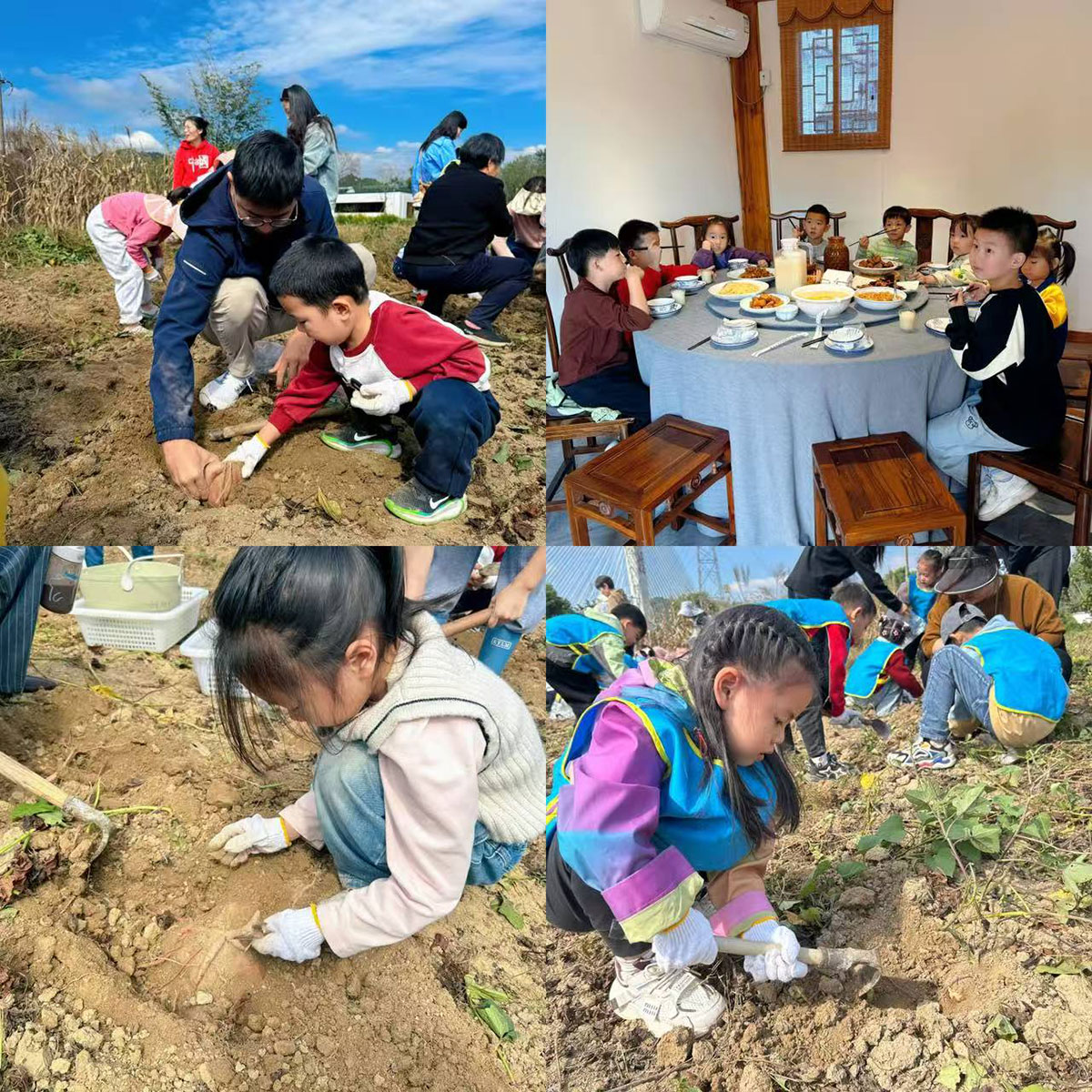 南溪南村：以薯為媒繪新景，活動(dòng)賦能興鄉(xiāng)村