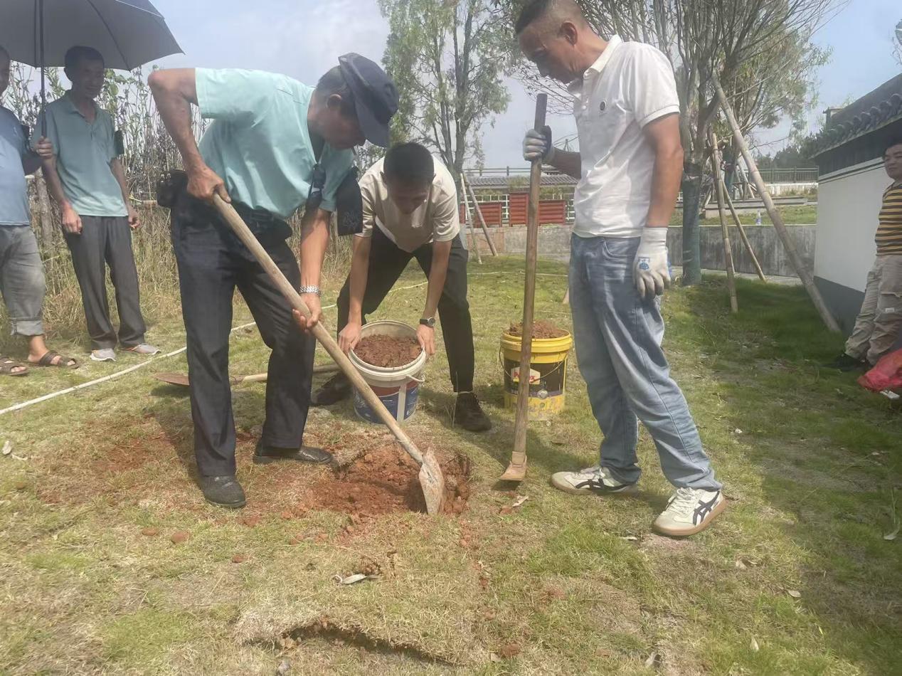 生態(tài)安葬樹新風(fēng) 鋪青疊翠映文明