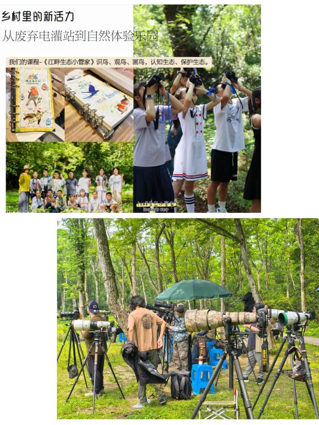 8000萬(wàn)熱度炸屏！屯溪“護(hù)村小祖宗”聯(lián)動(dòng)短劇頂級(jí)頭部平臺(tái)帶火綬帶鳥，短劇+文旅解鎖鄉(xiāng)村振興新密碼