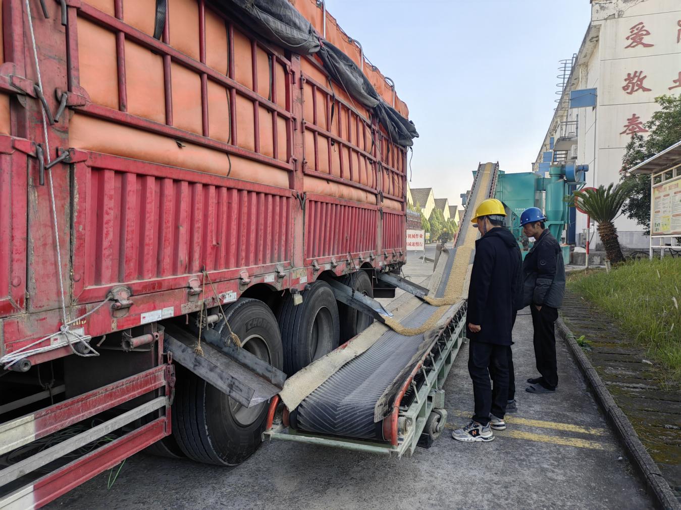 糧儲(chǔ)公司2025年度區(qū)級(jí)儲(chǔ)備糧輪換入庫(kù)工作圓滿完成